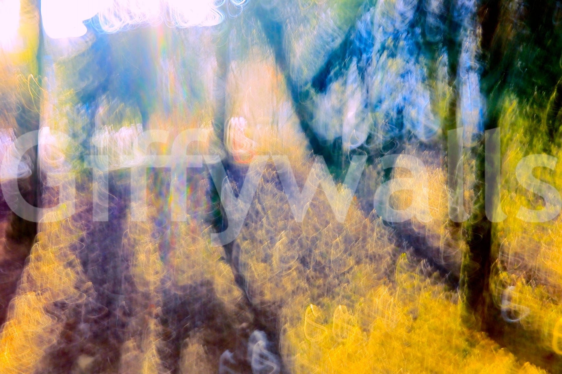 Ethereal Forest Light Photography | Abstract Nature Art Print | Colorful Blurred Landscape Wall Mural