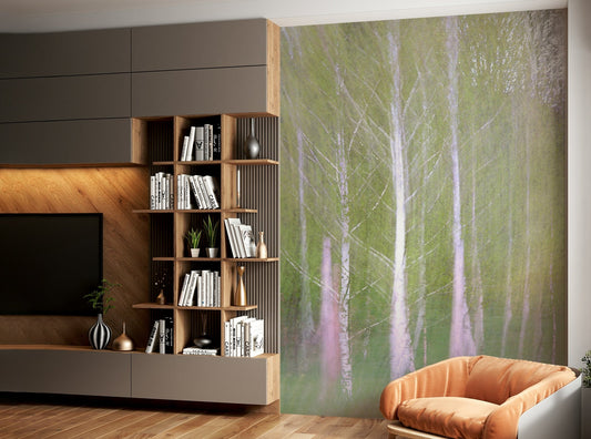 Blurred birch trees in an ethereal forest.
