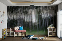 High-quality wall mural for lasting beauty and serenity

