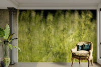 Lush green colors with gentle light.

