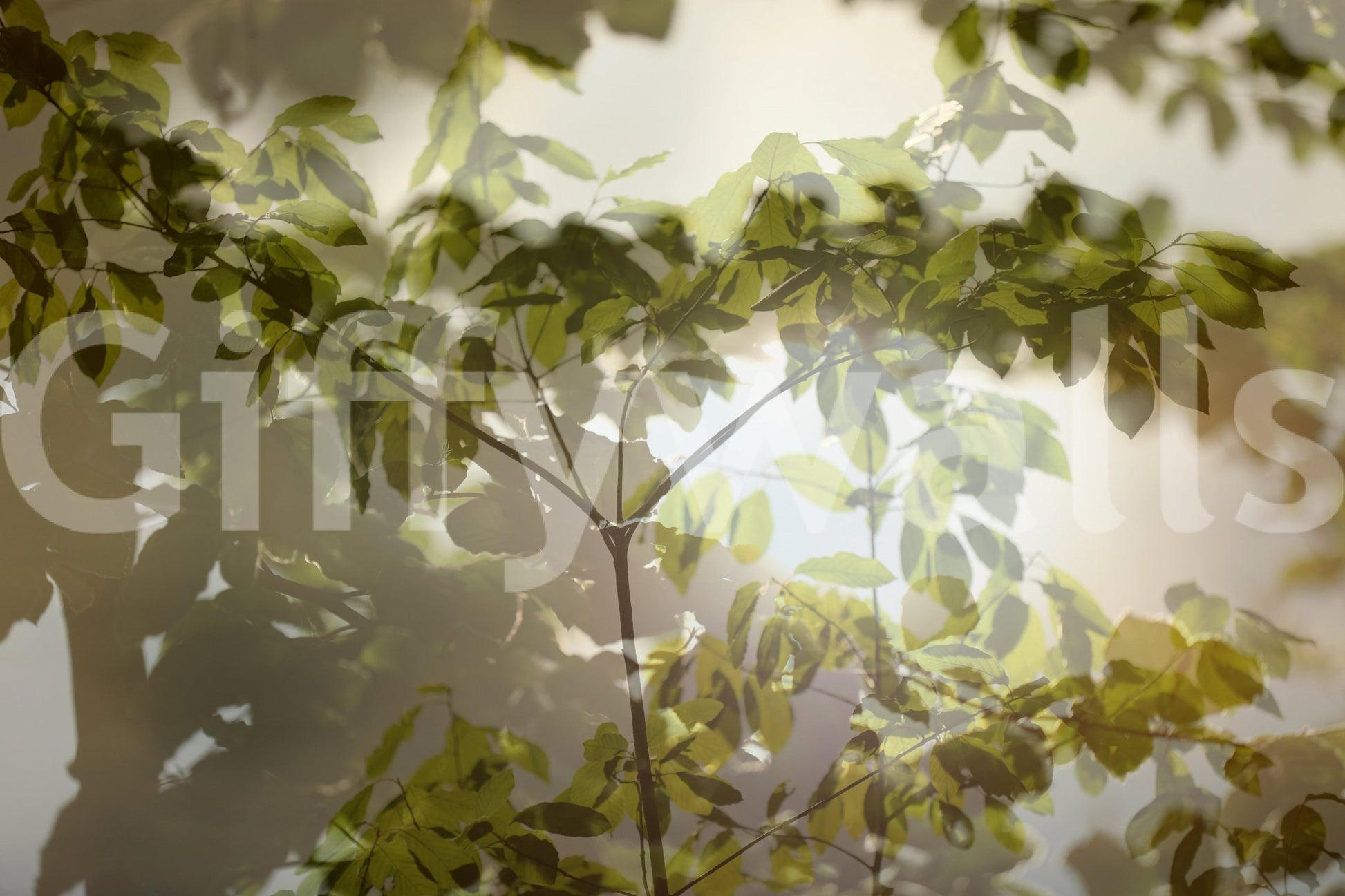 Gentle leaf pattern perfect for minimalist and modern spaces, GD2676