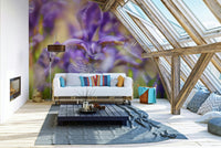 The style is artistic and often feels painterly or photographic with a soft focus.
