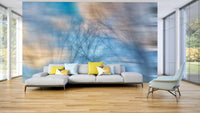 Focus on soft focus and abstract forms.

