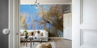 Inviting and expansive overhead view.

