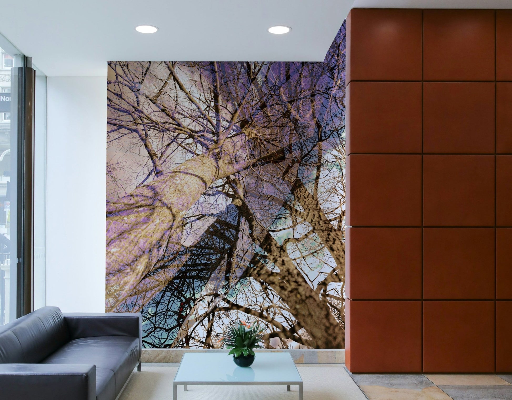 Soft hues and fluid lines.

