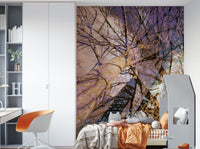 Inviting and calming aesthetic.

