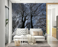 The design evokes a sense of mystery, contemplation, and the stark beauty of nature., GD2686