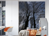 Suitable for a living room, study, or a modern, nature-inspired, contemplative interior., GD2686