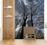 Captures the essence of ethereal tree forms against a dramatic sky., GD2686