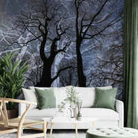 There's a strong sense of natural grandeur, profound stillness, and sophisticated artistry., GD2686