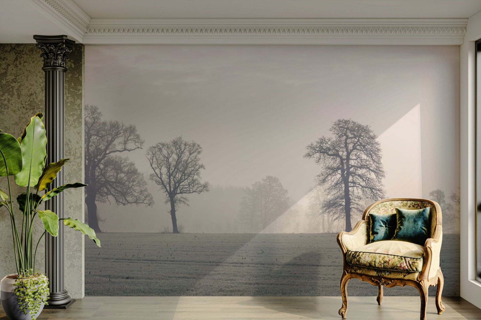 High-resolution image of a forest.

