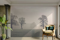 High-resolution image of a forest.

