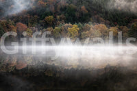 Vibrant foliage vista, Edge Woodland captivating backdrop image.