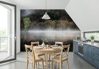 Moody nature scene, Edge Woodland misty forest wallpaper.