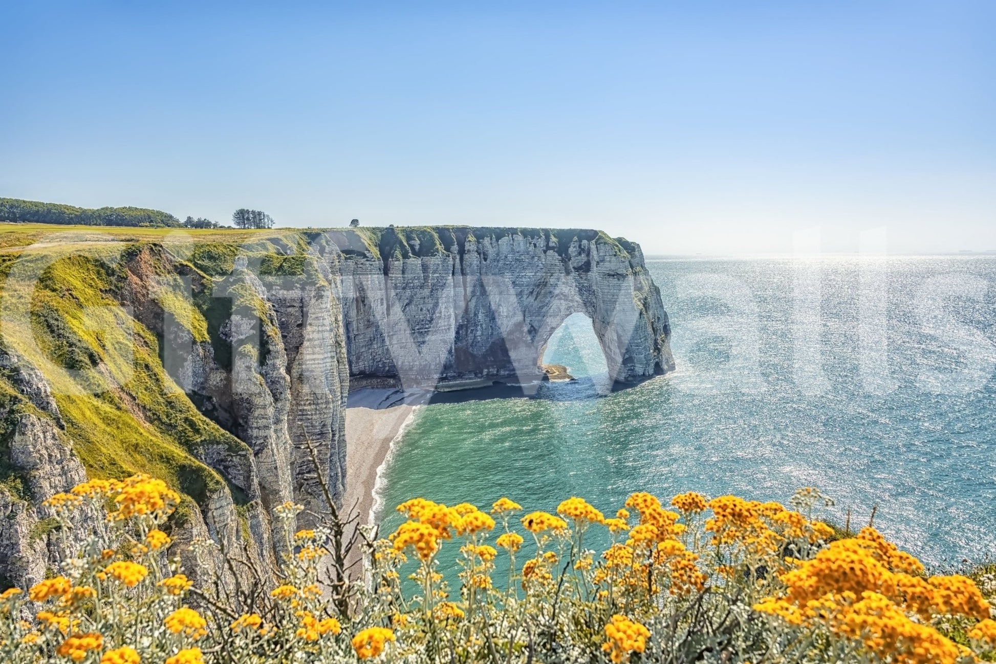 Etretat's Yellow Bloom wall mural with coastal cliffs, sea arch, and bright yellow flowers