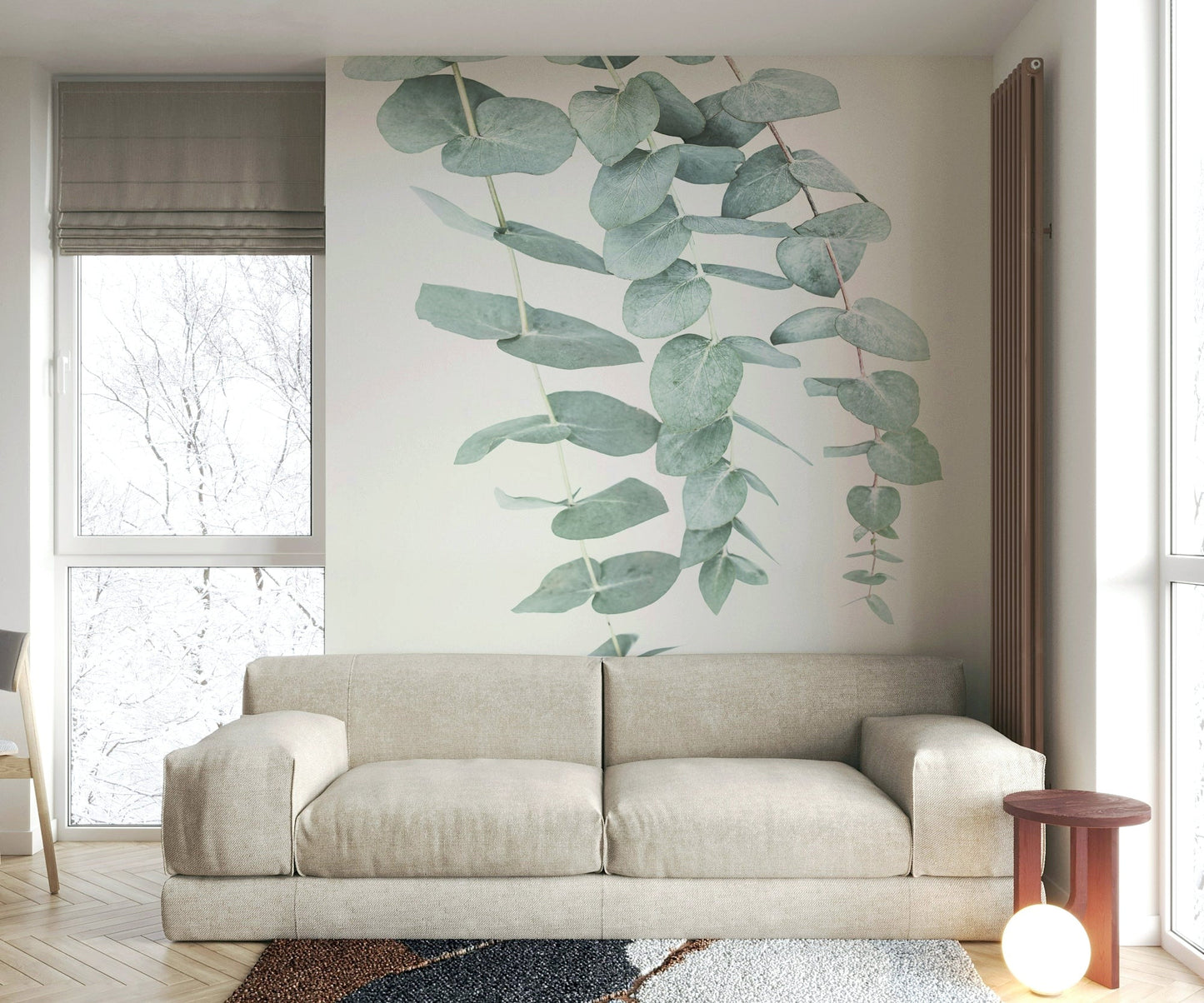 Delicate eucalyptus branches and leaves.

