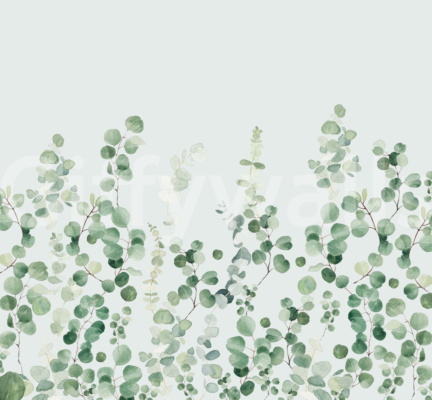 Fresh greenery eucalyptus wallpaper

