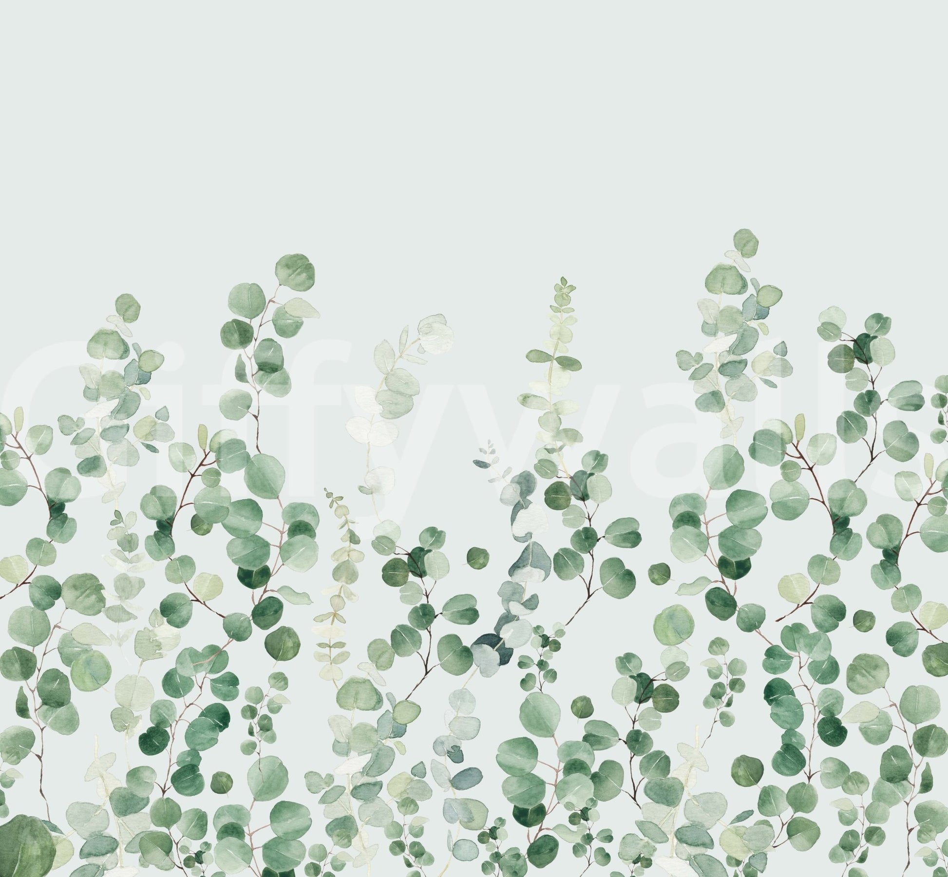 Fresh greenery eucalyptus wallpaper

