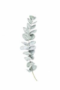 Organic design with a light and airy feel.

