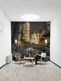 Evening Glow in Central Park Wall Mural