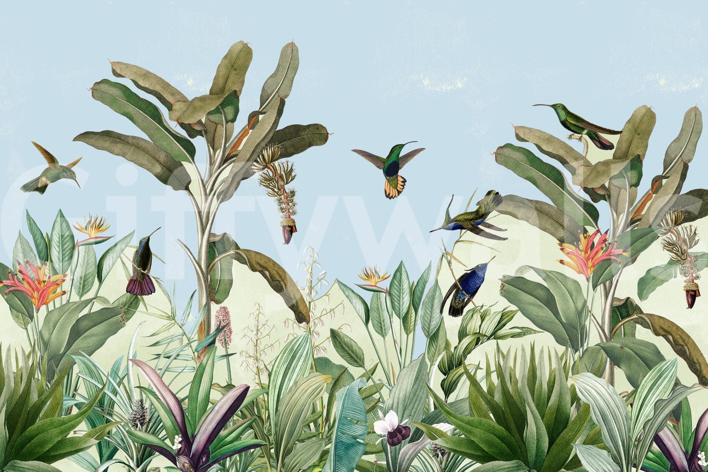 High-resolution jungle scene.

