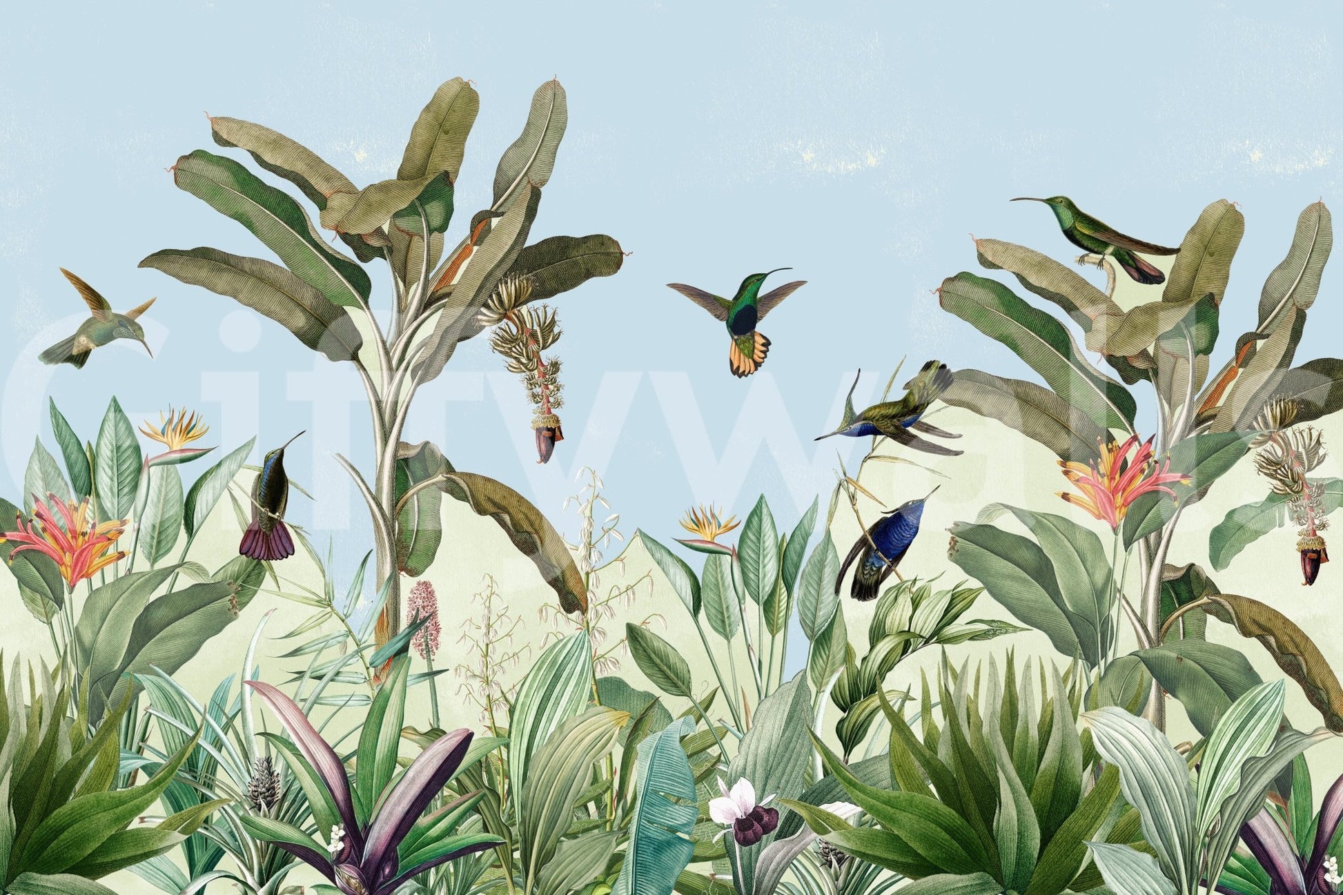 High-resolution jungle scene.

