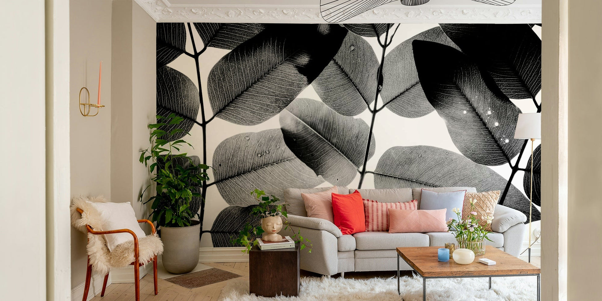 Dewdrops speckle translucent leaves, Experiments with Leaves Wall Mural GD4899
