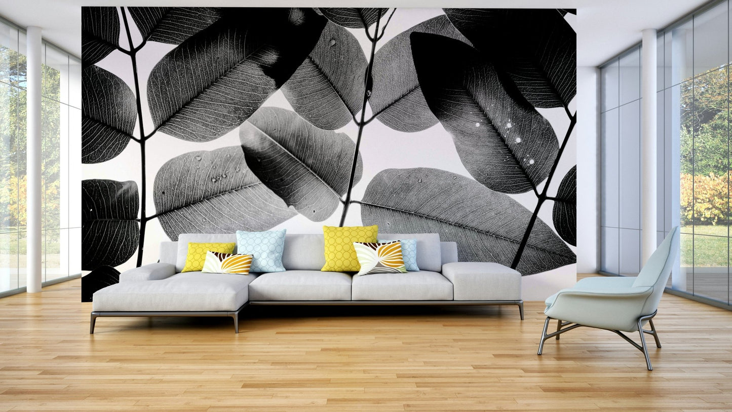 Delicate venation catches the light, Experiments with Leaves Wall Mural GD4899
