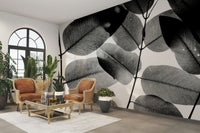 Symmetrical grayscale leaves fan across the frame, Experiments with Leaves Wall Mural GD4899
