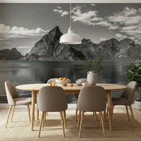 Home entrance feature wall with Exploring the Norwegian Fjords Wall Mural design.
