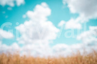 A detail of the soft focus and ethereal tones in the design., GD4564