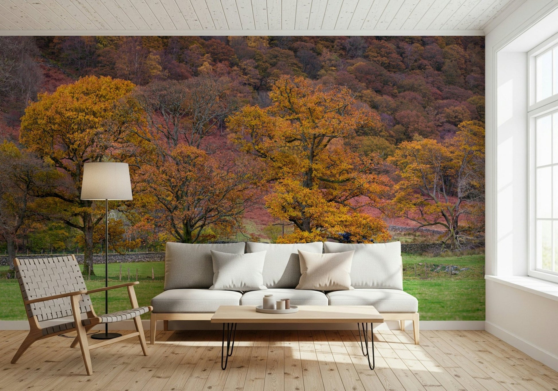 Lush green Fall Foliage Retreat Wall Mural grass foreground.