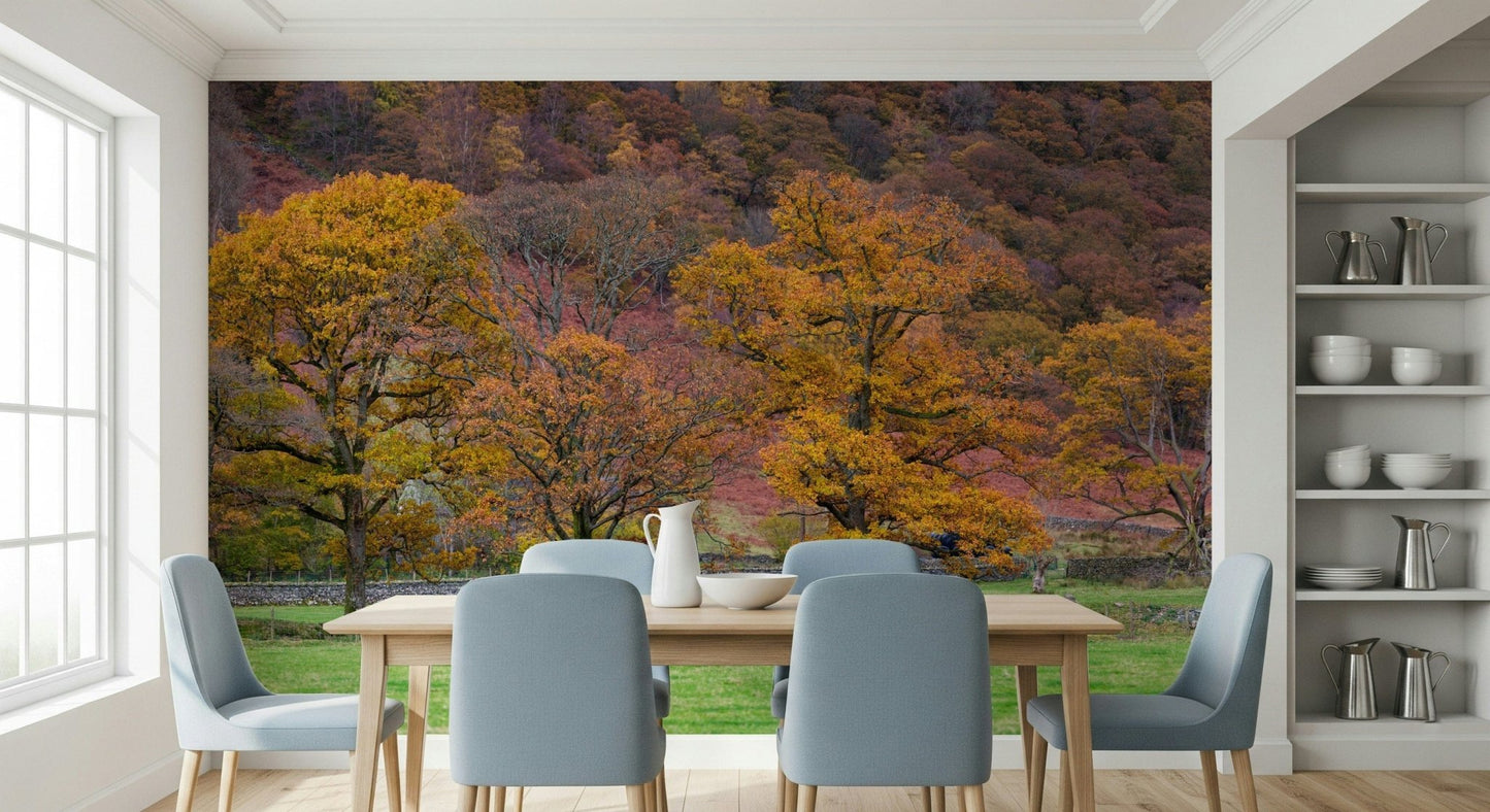 Inviting autumn Fall Foliage Retreat Wall Mural scene.