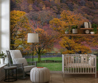 Golden orange Fall Foliage Retreat Wall Mural trees in field.