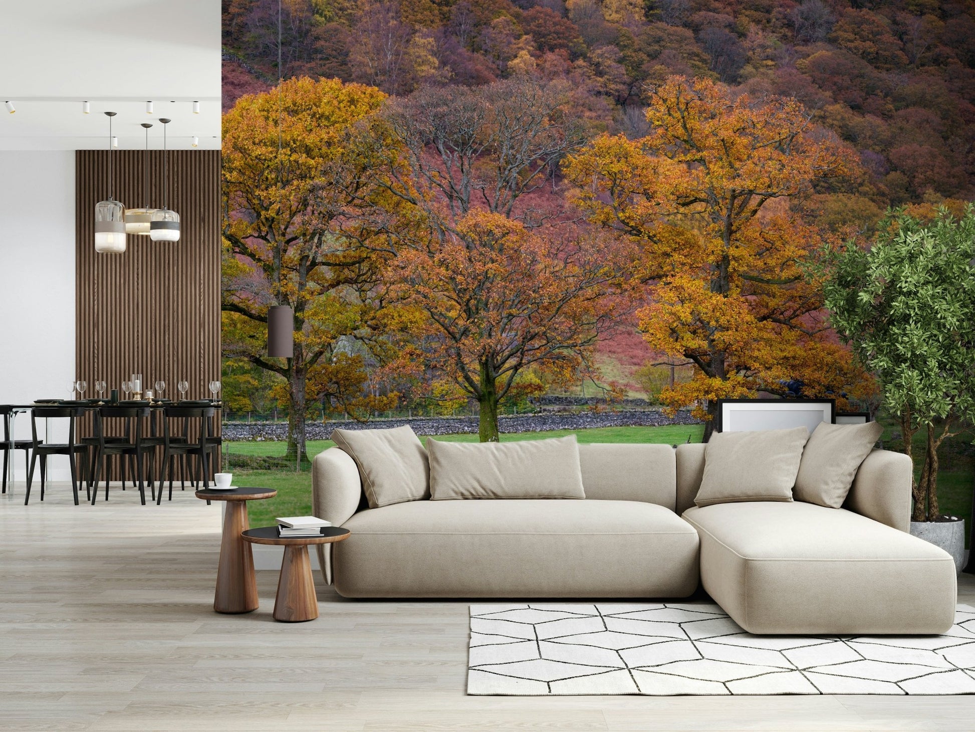 Colorful woodland Fall Foliage Retreat Wall Mural photo.