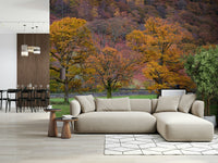 Colorful woodland Fall Foliage Retreat Wall Mural photo.
