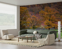 Panoramic fall Fall Foliage Retreat Wall Mural view detail.