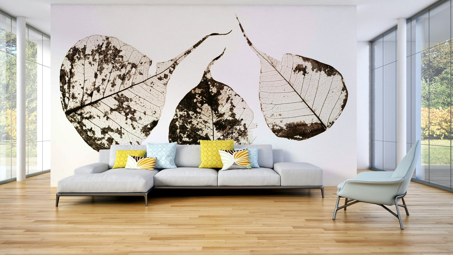 Three leaf skeletons rest on a plain white ground, a leaf wall mural GD4789
