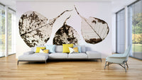 Three leaf skeletons rest on a plain white ground, a leaf wall mural GD4789
