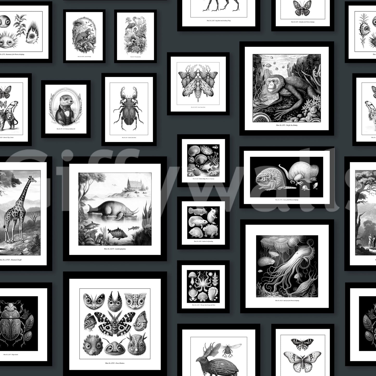 Stylish anthracite wallpaper with surreal illustrations.

