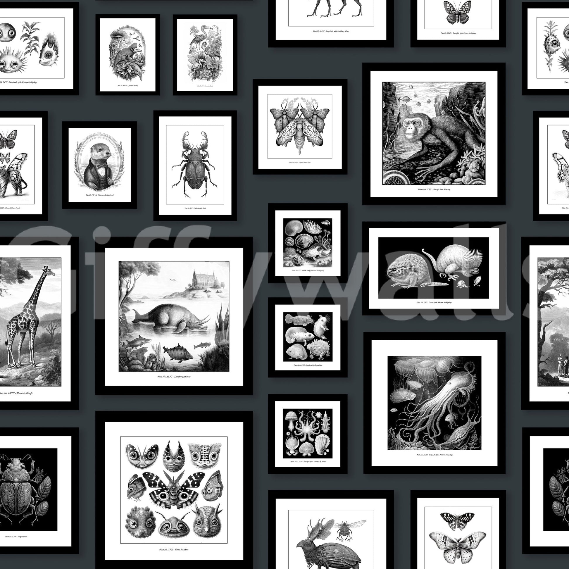 Stylish anthracite wallpaper with surreal illustrations.

