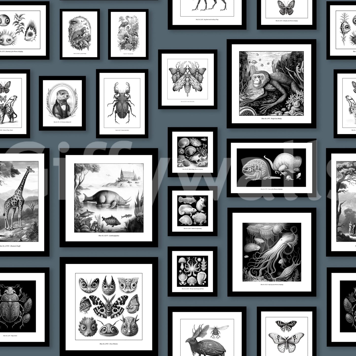 Fantastic Creatures - Storm Blue Wallpaper⁠