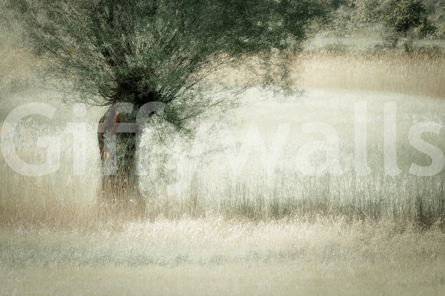 A high-quality minimalist wall mural for walls., GD5571