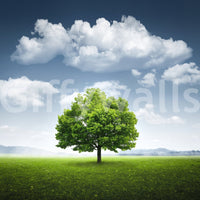 A tranquil abstract vista mural on the wallpaper., GD5760