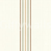 Warm color transition for comfortable interiors
