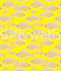 Soft pastel fish wallpaper in a calming, oceanic design

