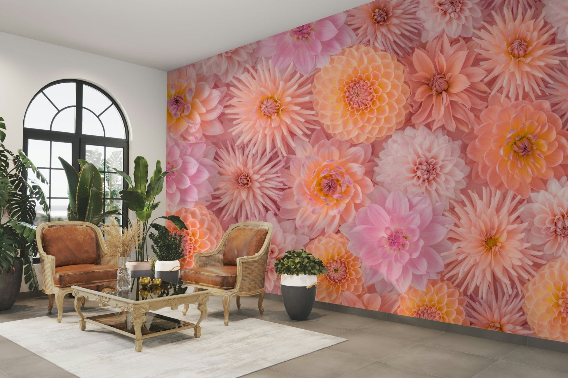 The image showcases numerous dahlia blooms in shades of blush pink and soft orange.

