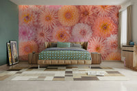 Soft lighting enhances the delicate colors and details of the petals.

