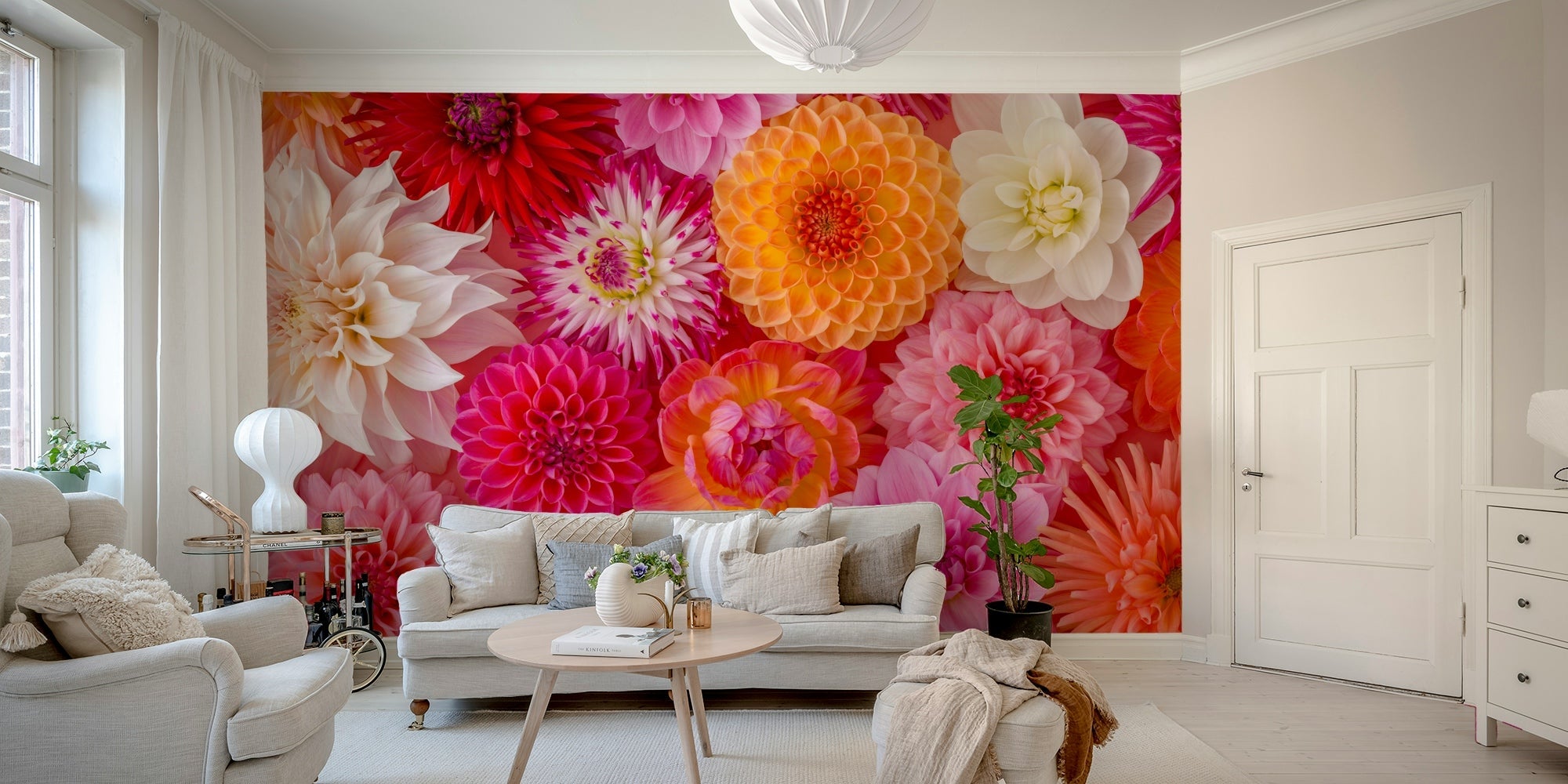 Vibrant close-up of a colorful dahlia flower pattern GD5048