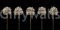 Unique flower motif for walls.

